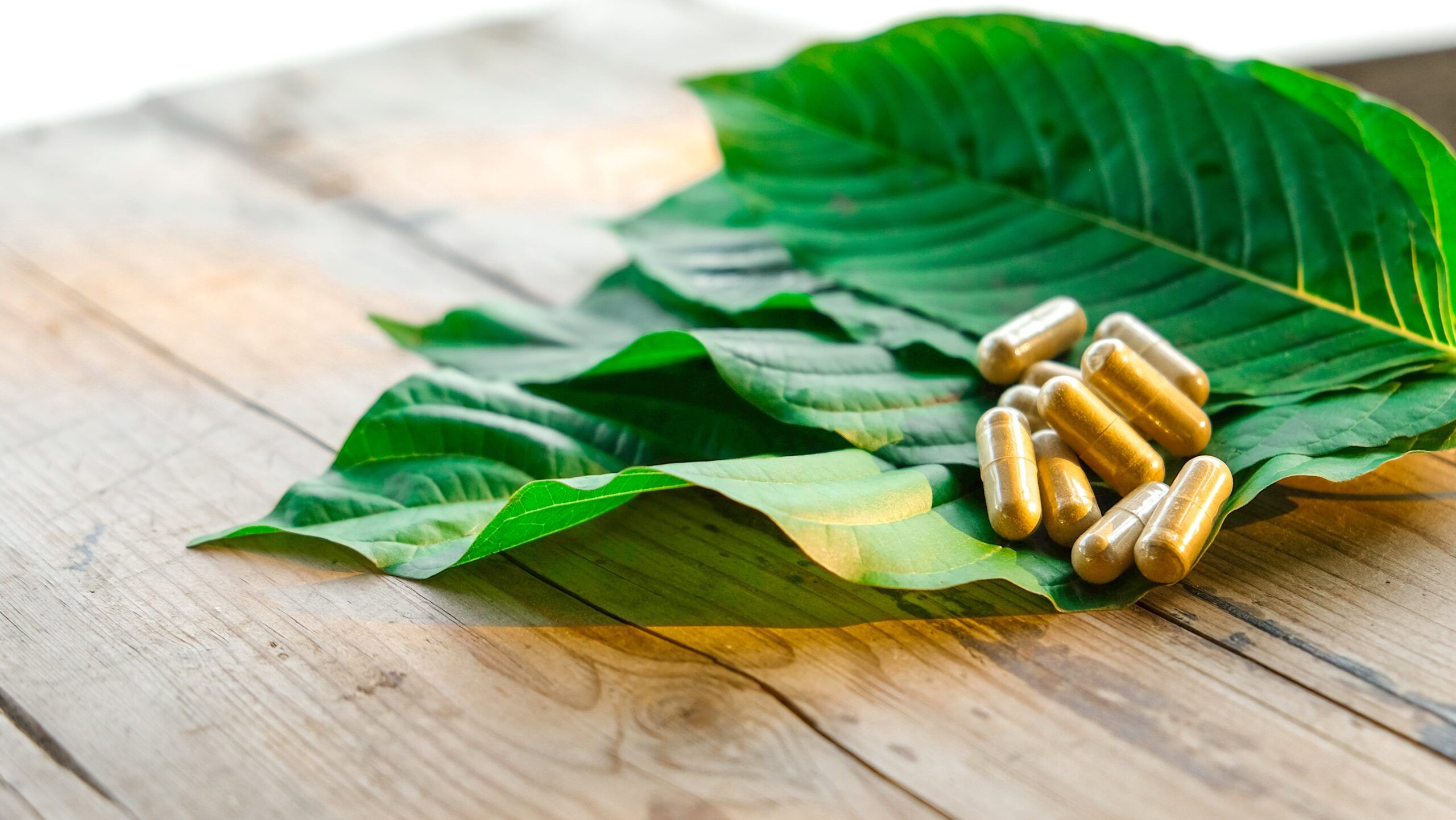 Facts about kratom withdrawal and addiction