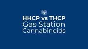 HHCP vs THCP
