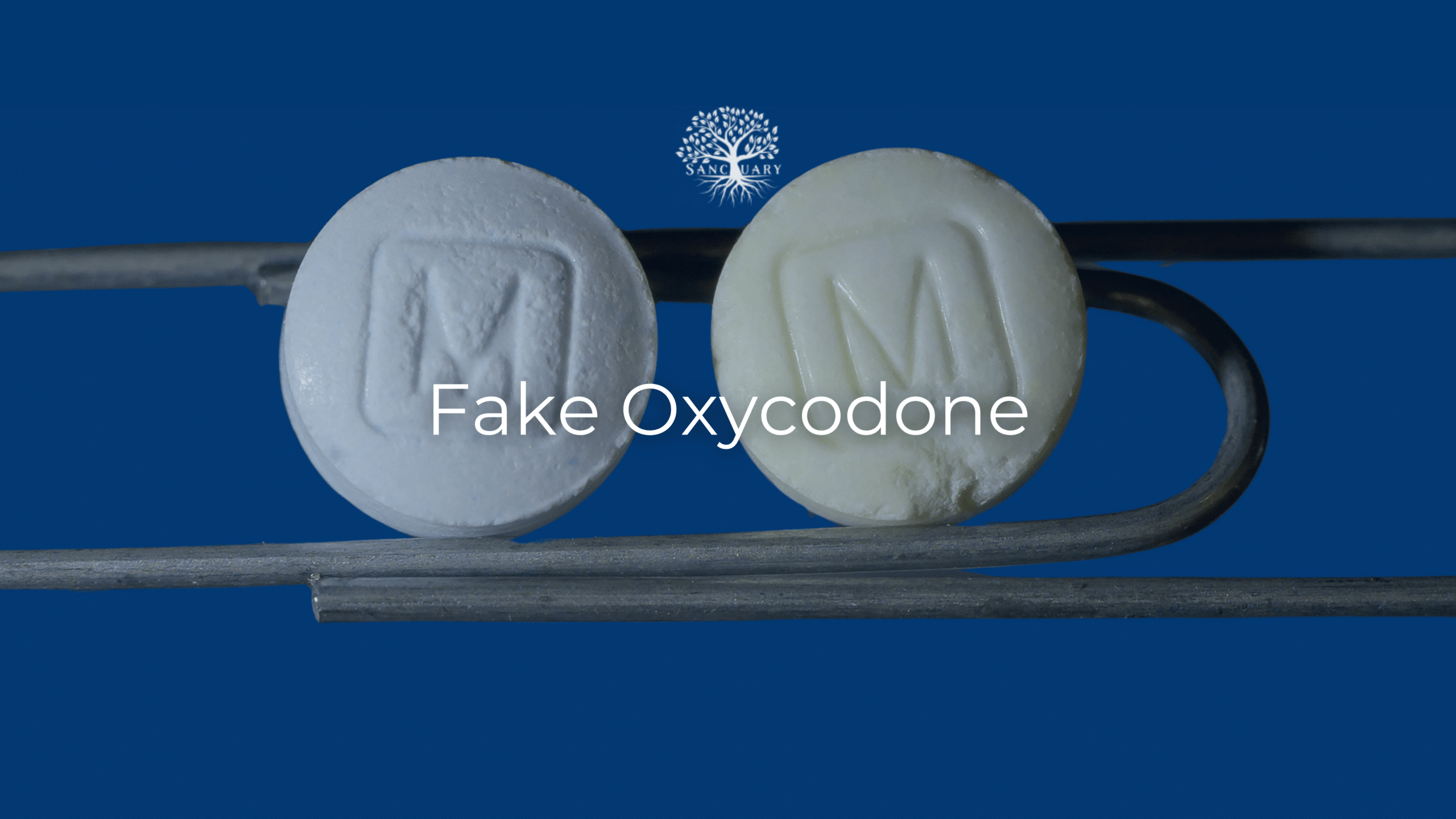 fake oxycodone